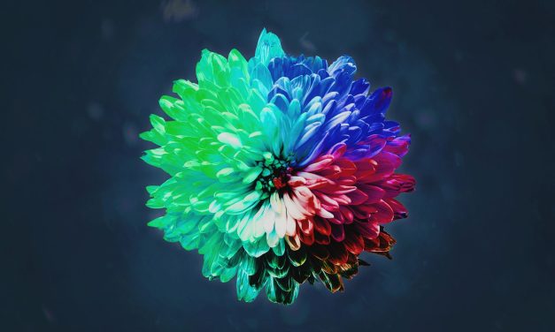 Free Minds by Redeem/Revive  (Stay Sick Recordings)