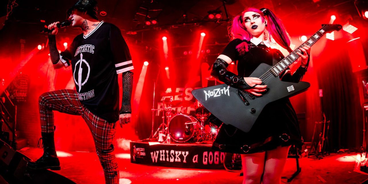 Aesthetic Perfection at The Whisky – Live Photos