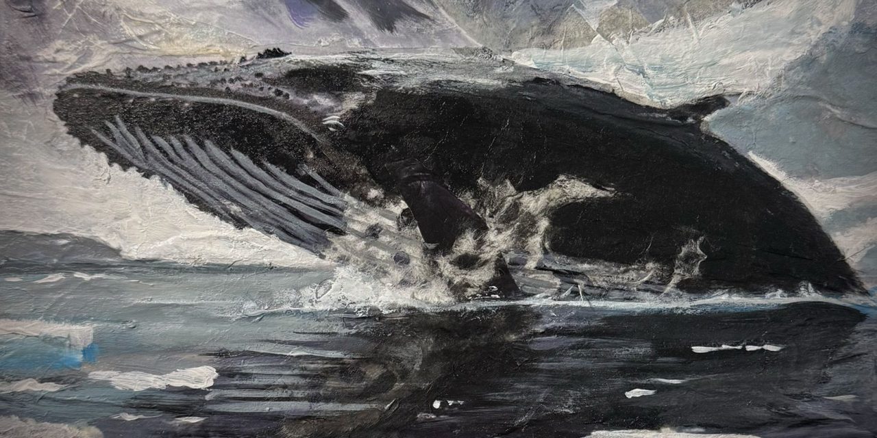 Antarctica by Tom Ciurczak (Self-Released)