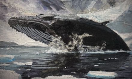 Antarctica by Tom Ciurczak (Self-Released)